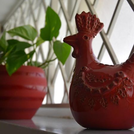 B&B Casa Morgana オルビア エクステリア 写真