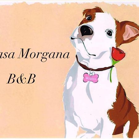 B&B Casa Morgana オルビア エクステリア 写真