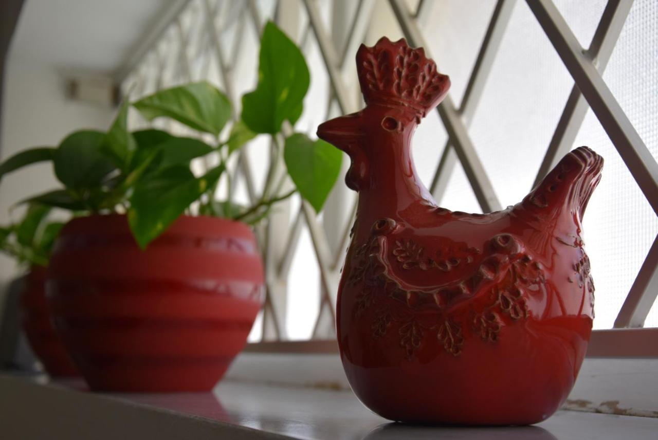 B&B Casa Morgana オルビア エクステリア 写真
