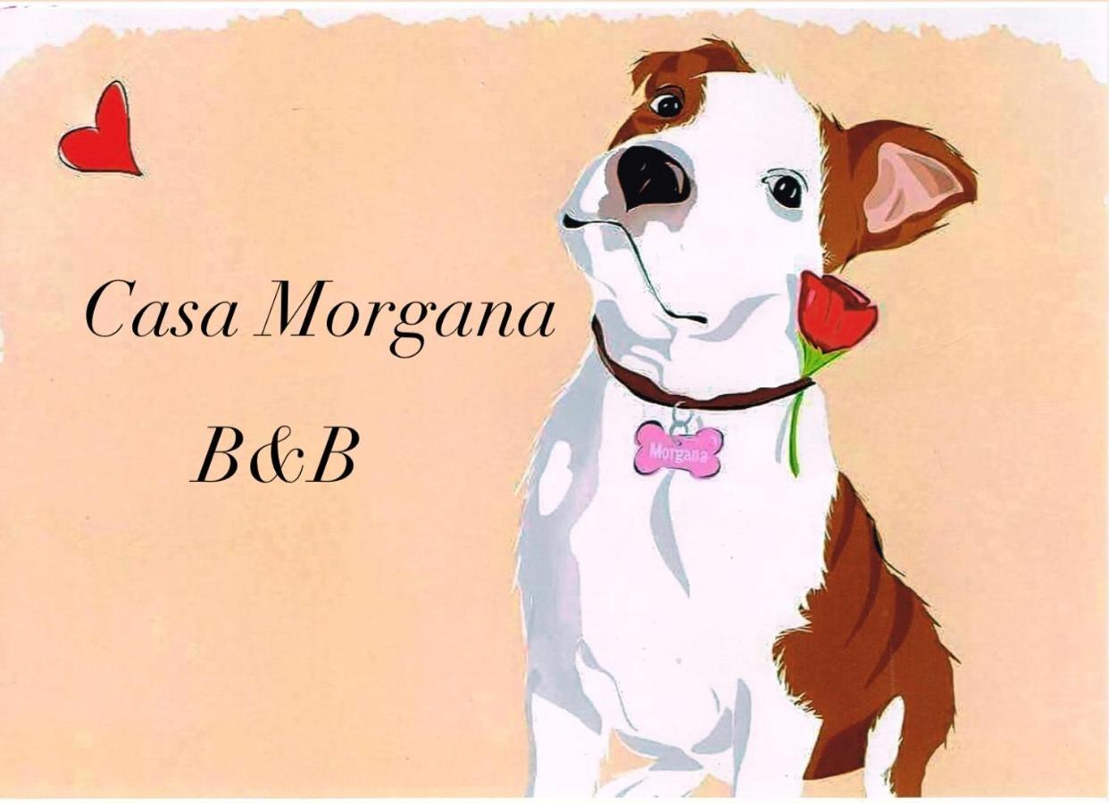 B&B Casa Morgana オルビア エクステリア 写真